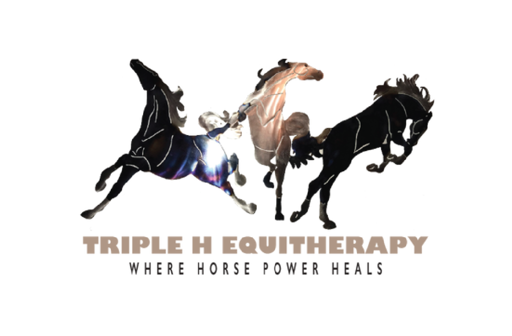 Triple H Equitherapy keep their special programs operating to serve more children and families with “Horse Power!”
